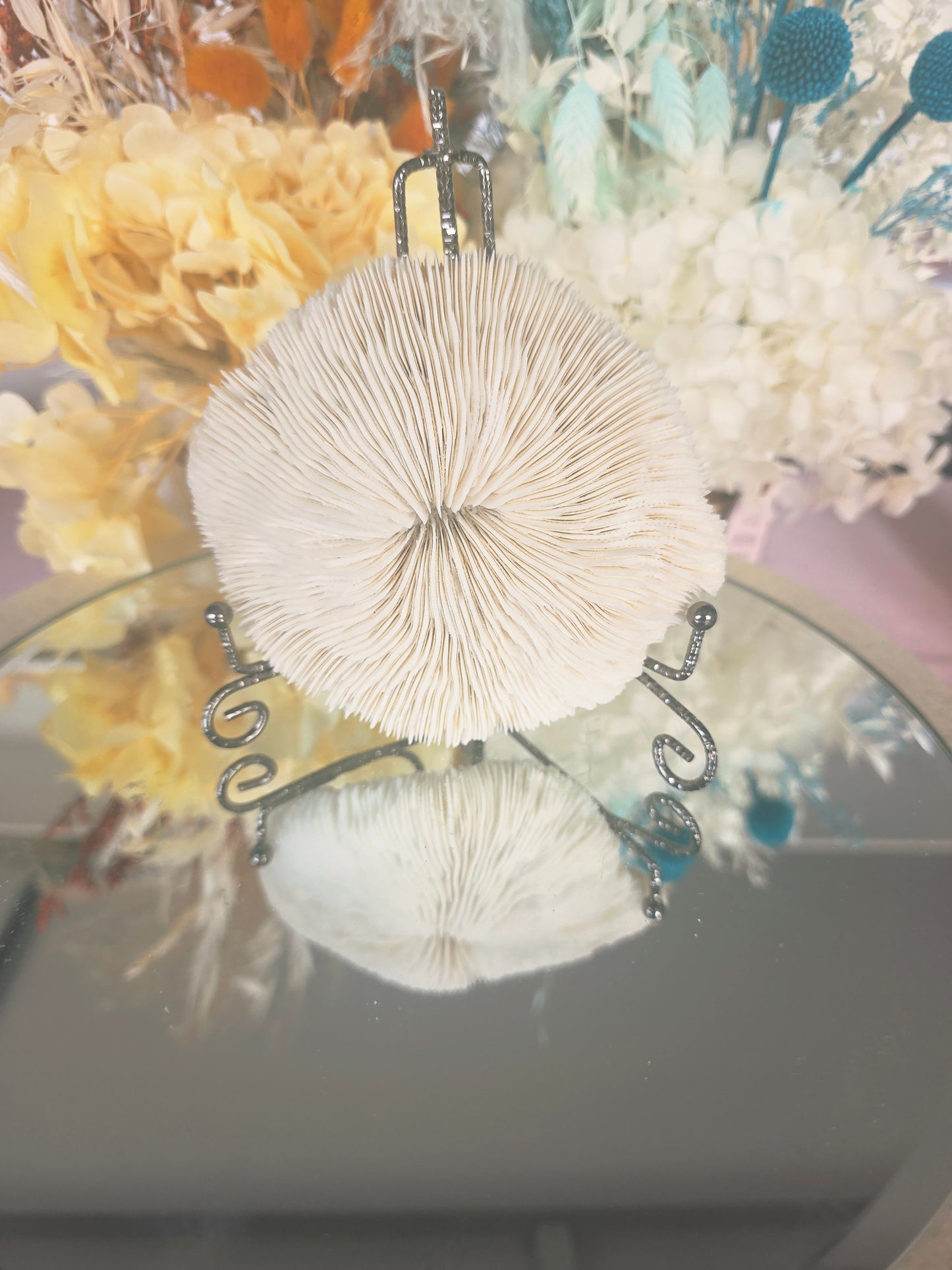 Coral and stand
