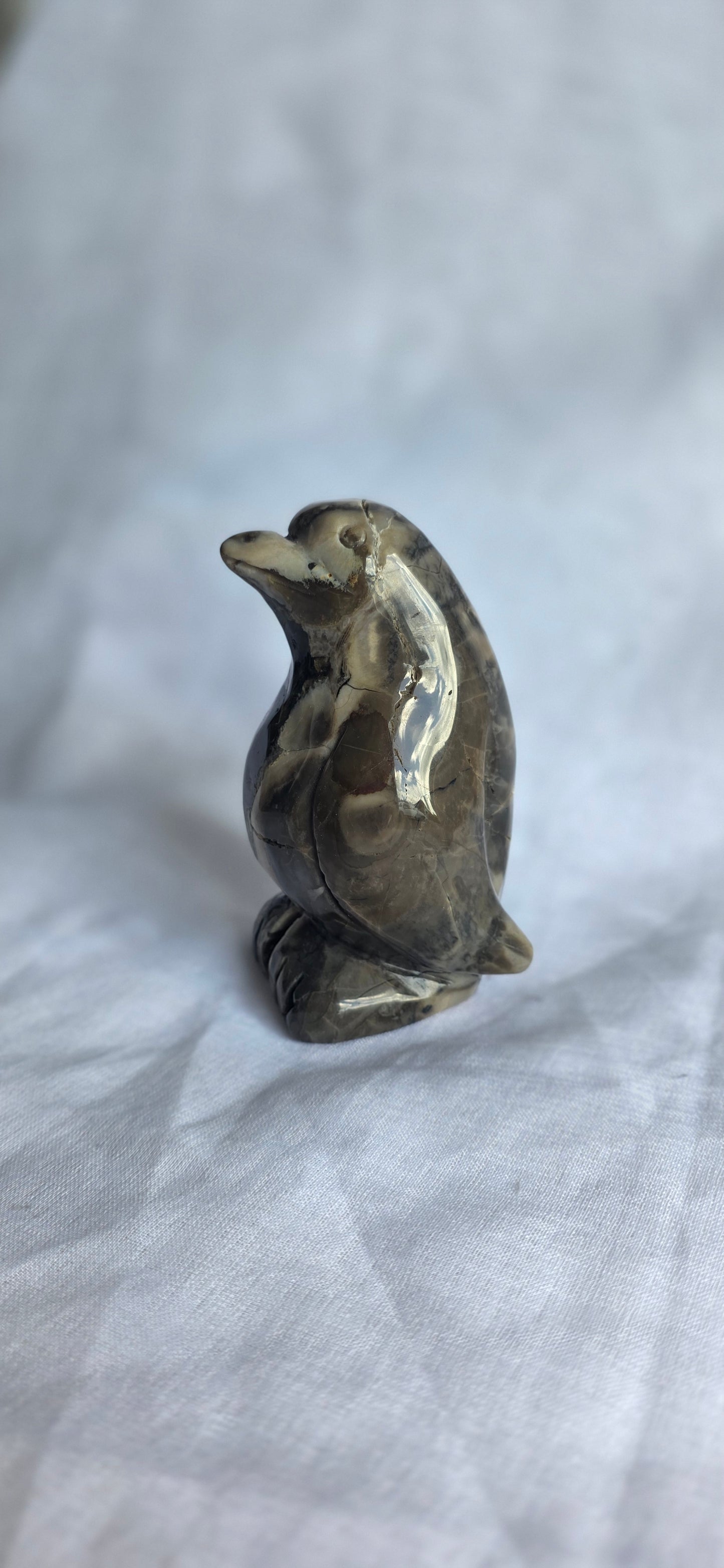 Volcano agate penguin
