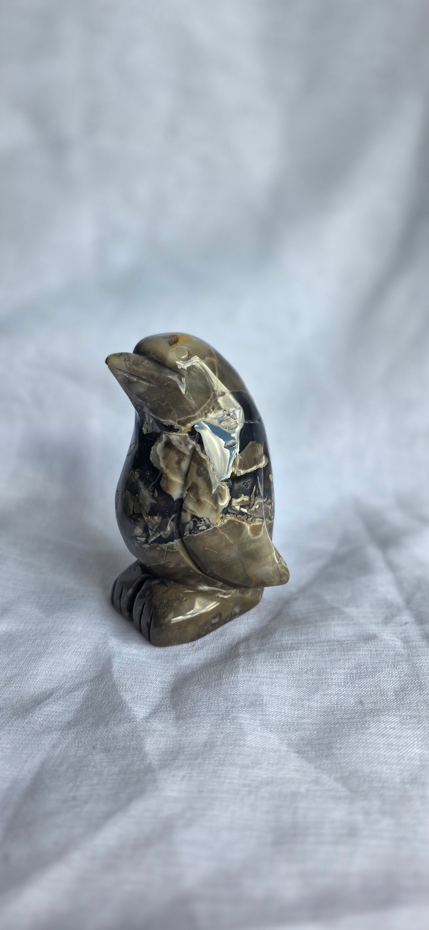 Volcano agate penguin