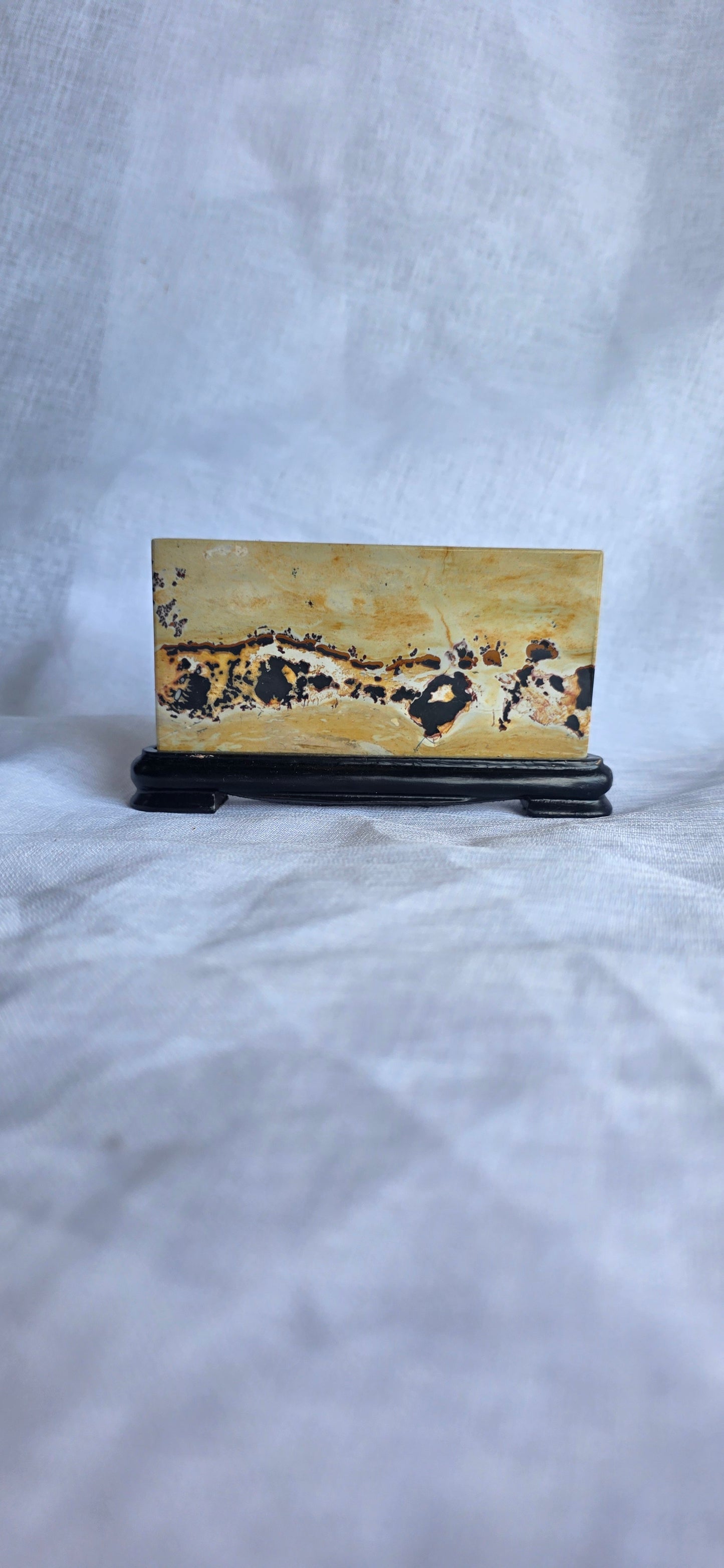 Picture Jasper slab and stand