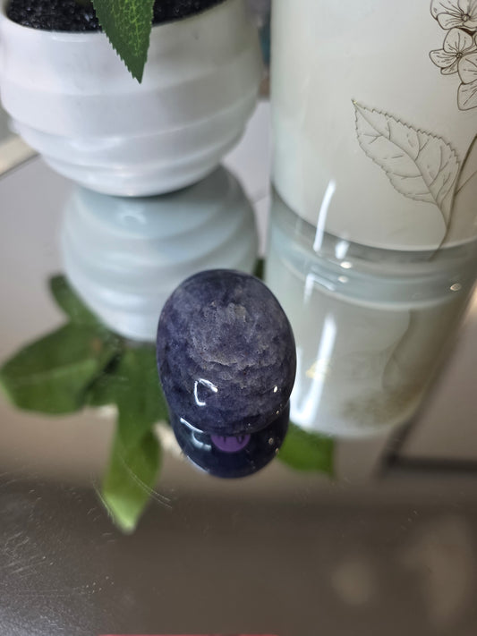 Iolite palm