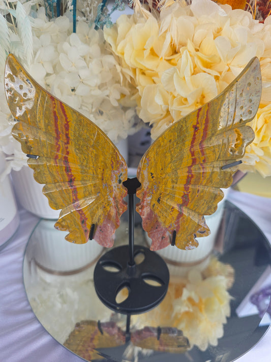 Ocean Jasper Butterfly Wings