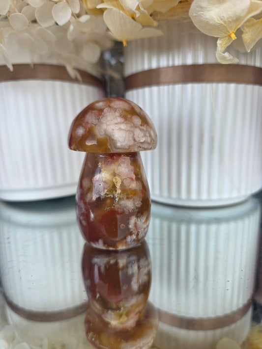 Flower Agate Mushroom