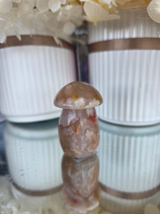 Flower Agate Mushroom