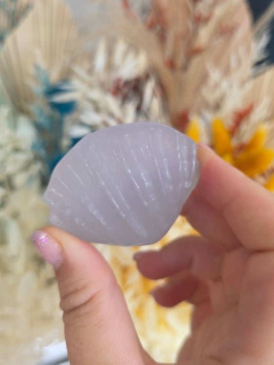 Fluorite Shell