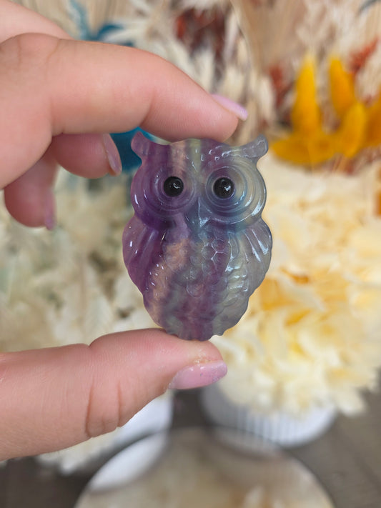 Fluorite Owl