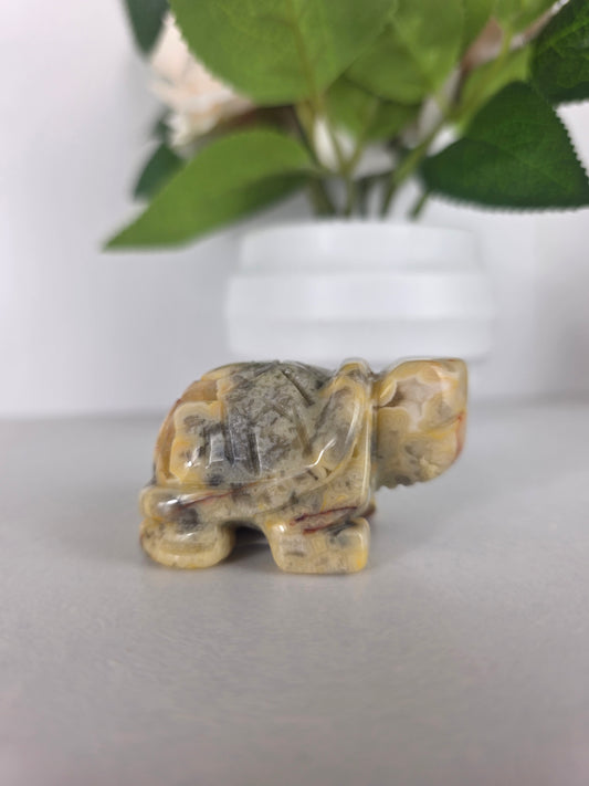 Crazy lace turtle carving