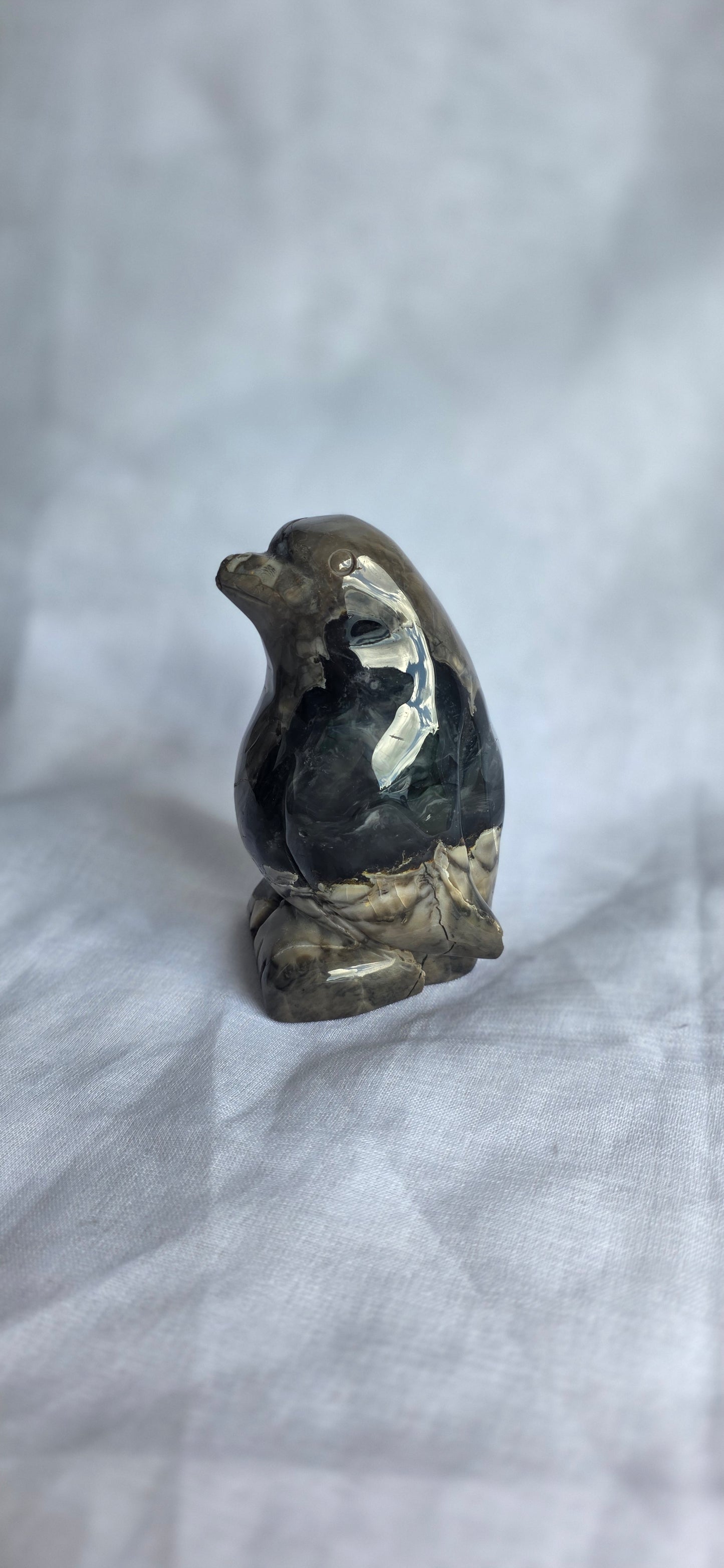 Volcano agate penguin