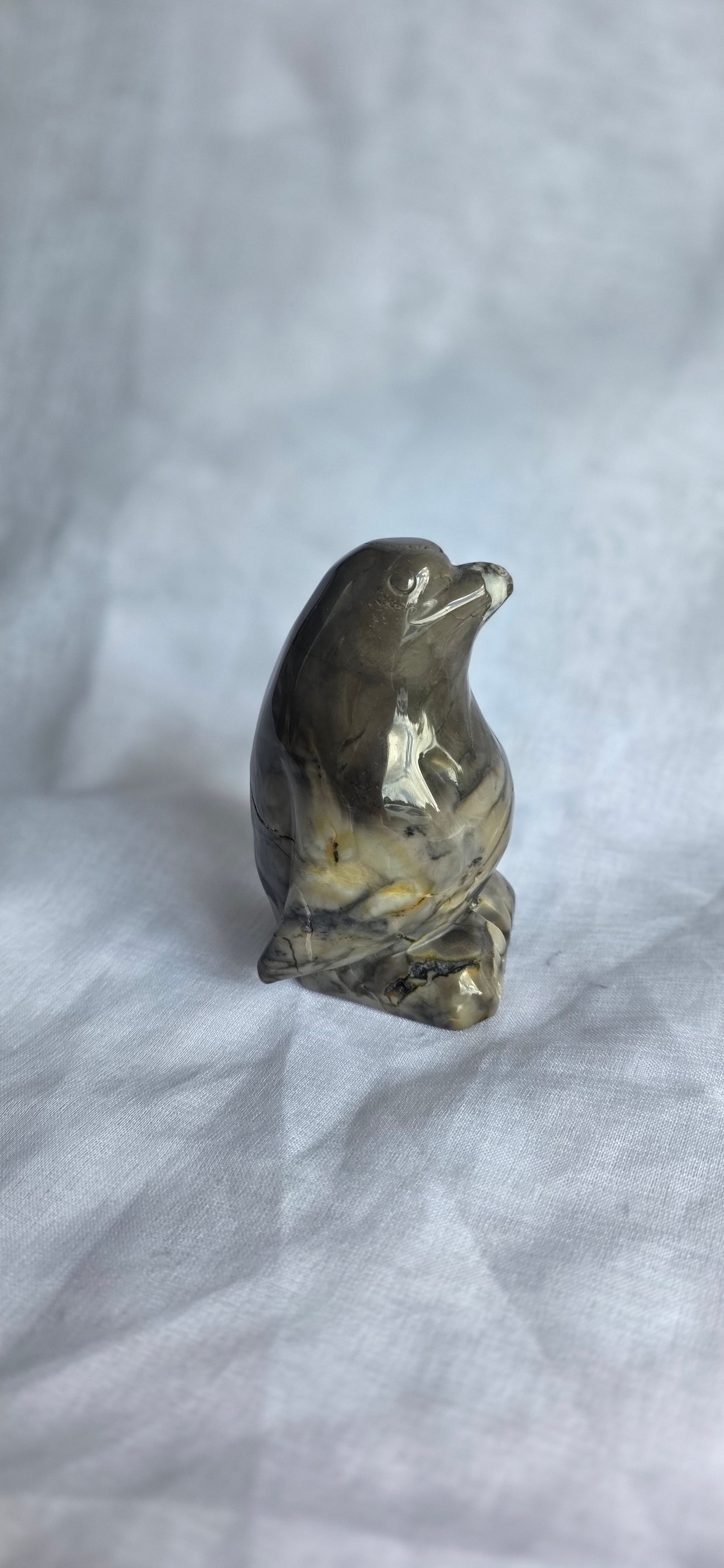 Volcano agate penguin