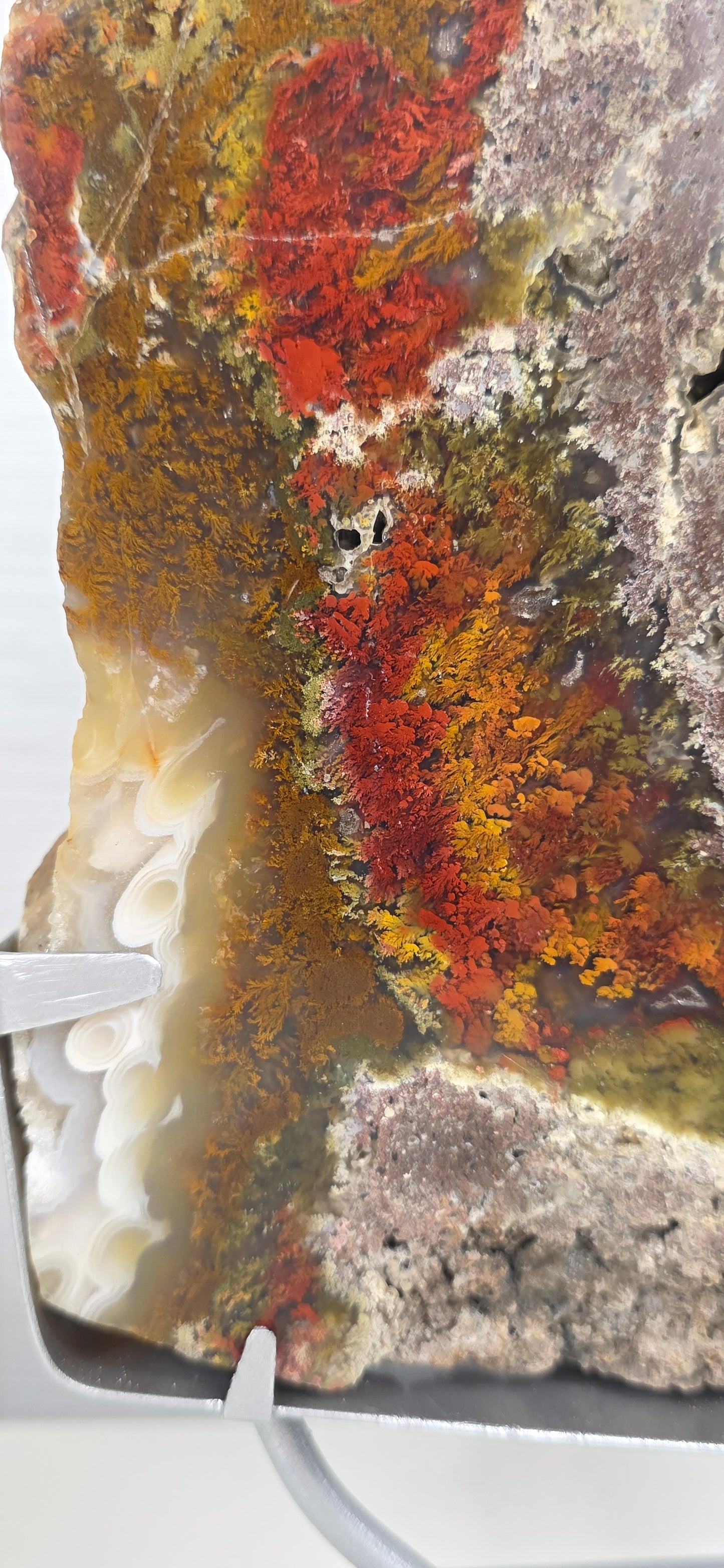 Scenic Moss Agate Slab and stand
