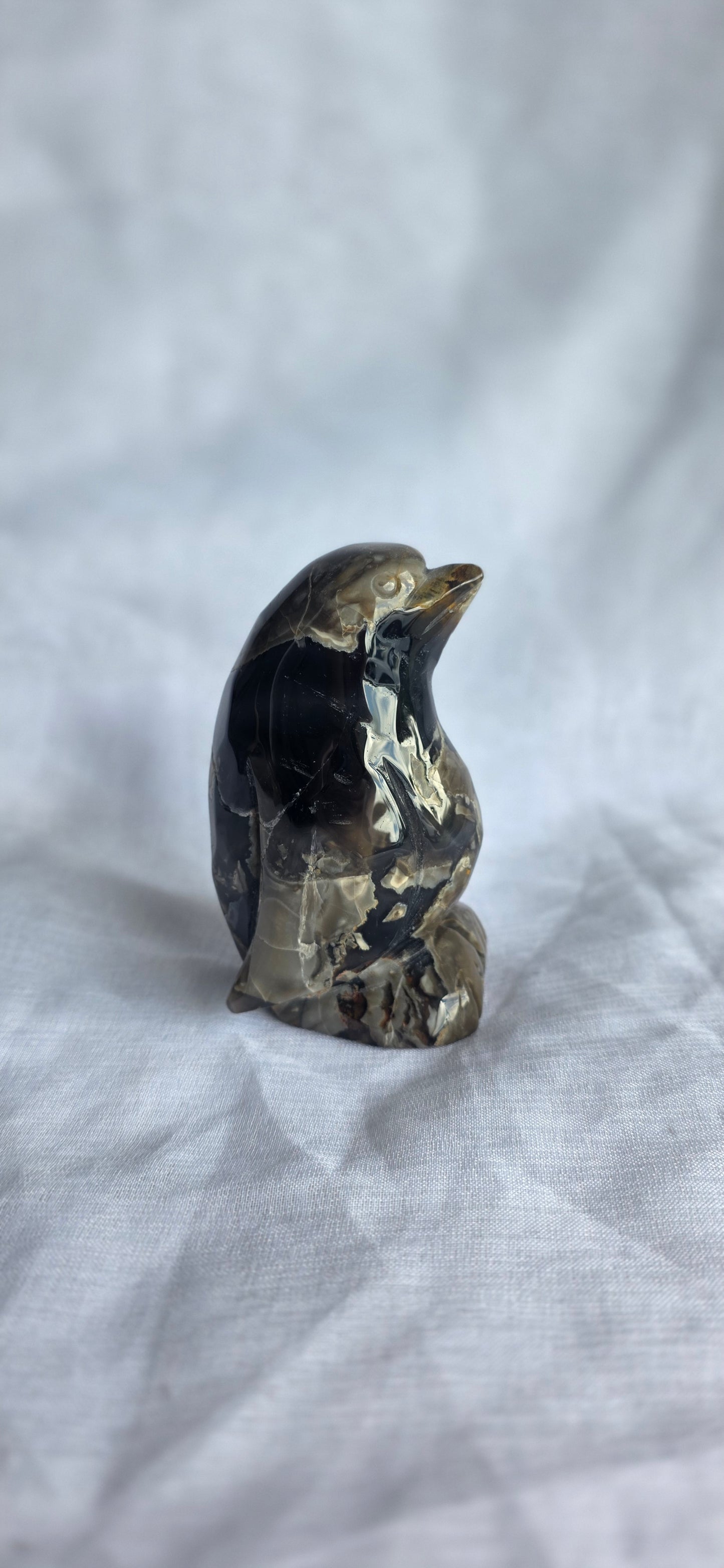 Volcano agate penguin