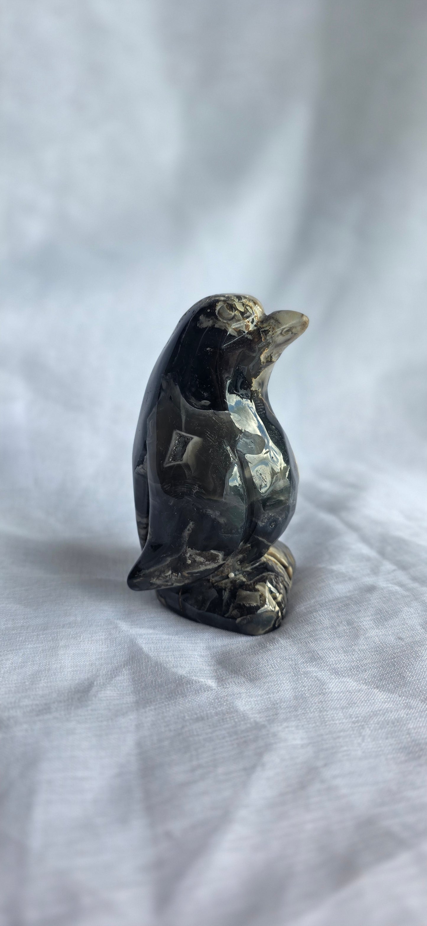 Volcano agate penguin