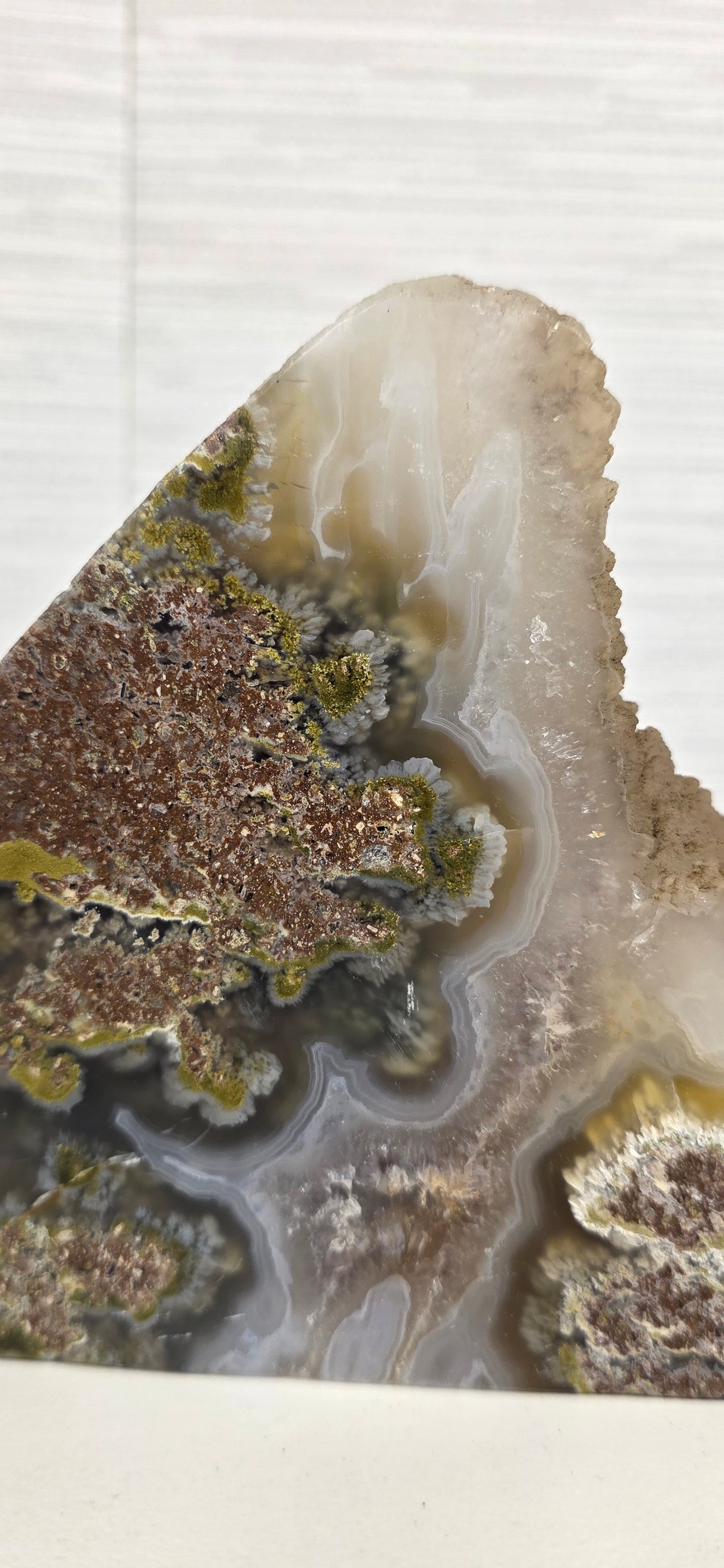 Scenic Moss Agate Freeform