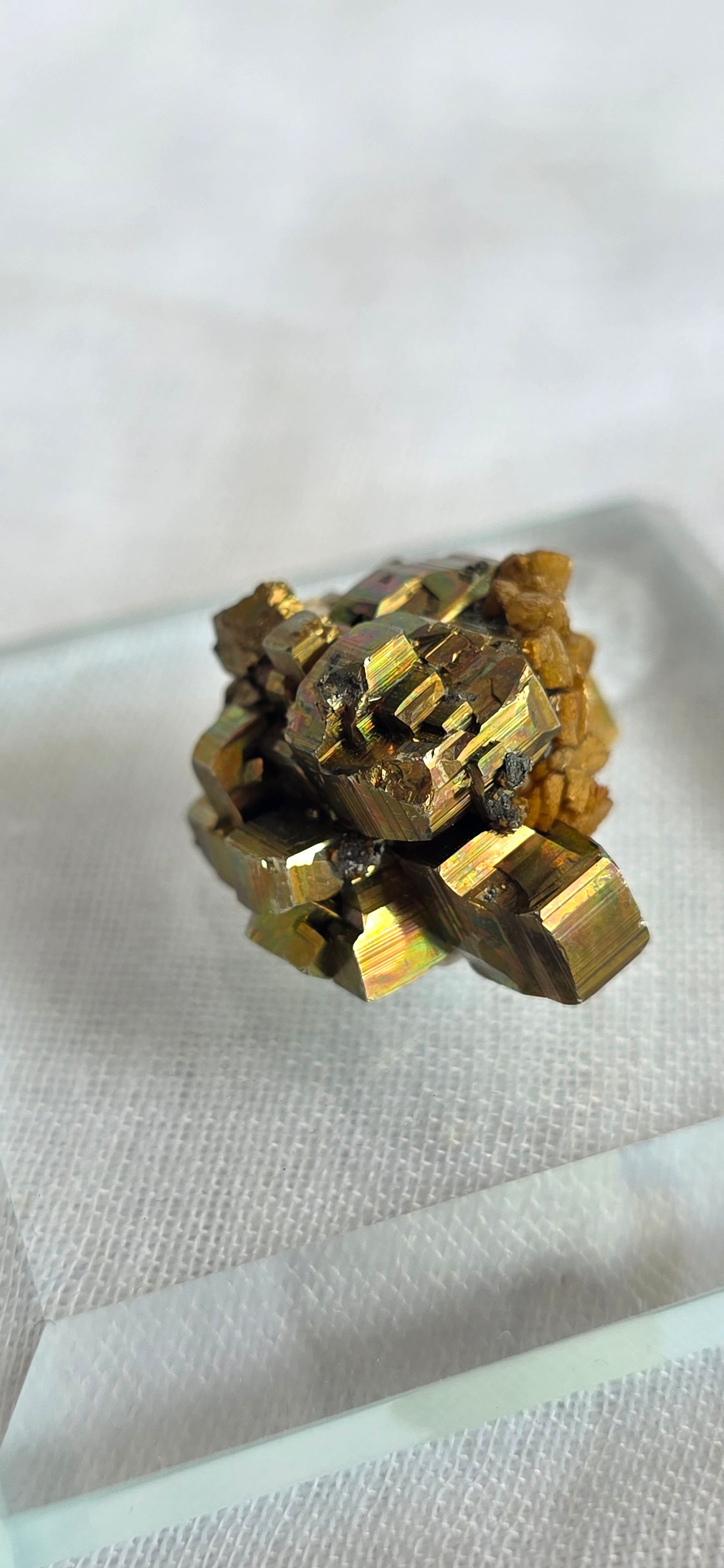 iridescent pyrite